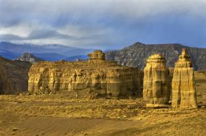 Zhada Earth Forest